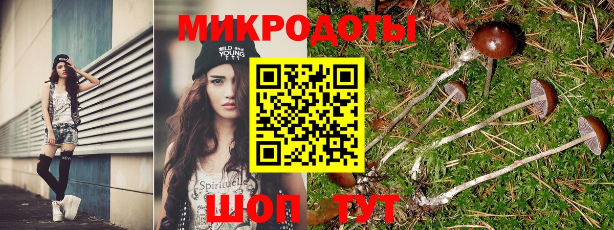 Благовещенск  Галлюциногенные грибы Psilocybine cubensis  купить  сайты  Вход с VPN 